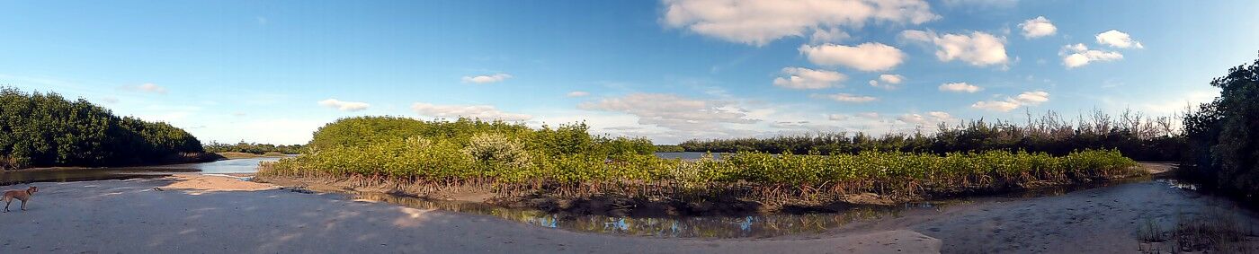 Click to See Next Image